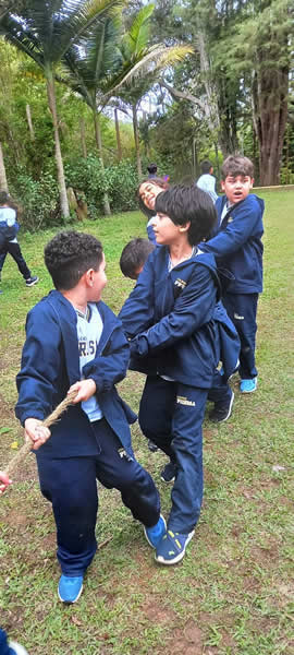 Bicho Mania 2022